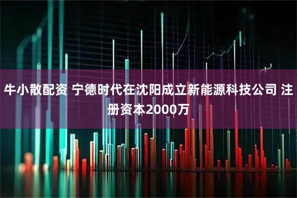 牛小散配资 宁德时代在沈阳成立新能源科技公司 注册资本2000万